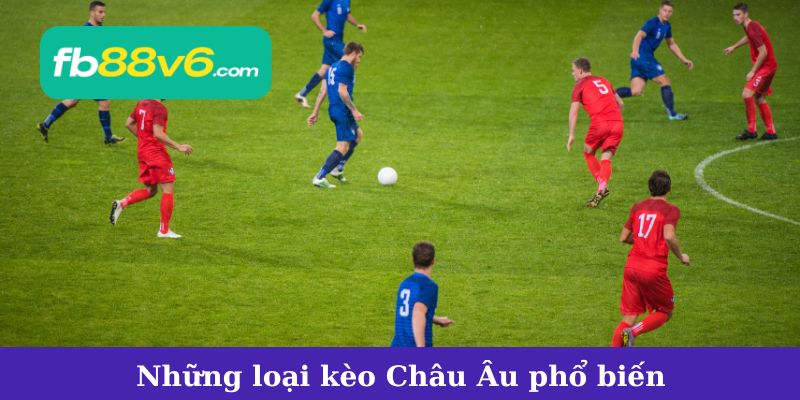 Những loại kèo Châu Âu phổ biến và cách chơi hiệu quả