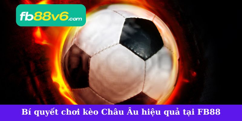 Bí quyết chơi kèo Châu Âu hiệu quả tại FB88