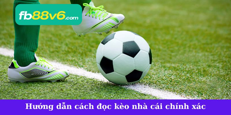 Hướng dẫn cách đọc kèo nhà cái chính xác và hiệu quả