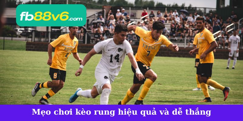 Tìm hiểu kèo rung và cách chơi hiệu quả