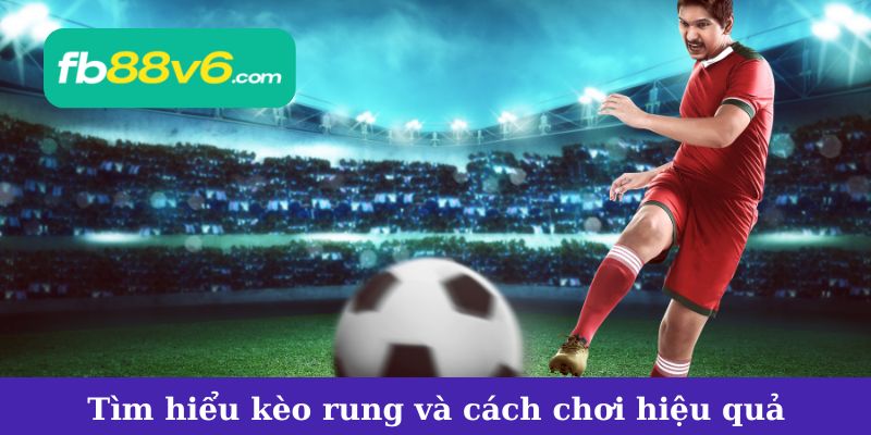 Mẹo chơi kèo rung hiệu quả và dễ thắng