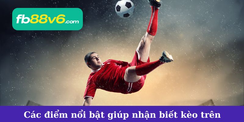Đặc Điểm Nổi Bật Của Kèo Trên Và Cách Nhận Biết Chính Xác